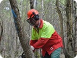 Kettensaegenausbildung_2011 (13)