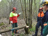 Kettensaegenausbildung_2011 (15)