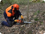 Kettensaegenausbildung_2011 (17)