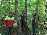 Kettensaegenausbildung_2011 (33)