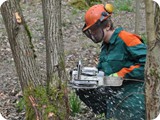 Kettensaegenausbildung_2011 (8)